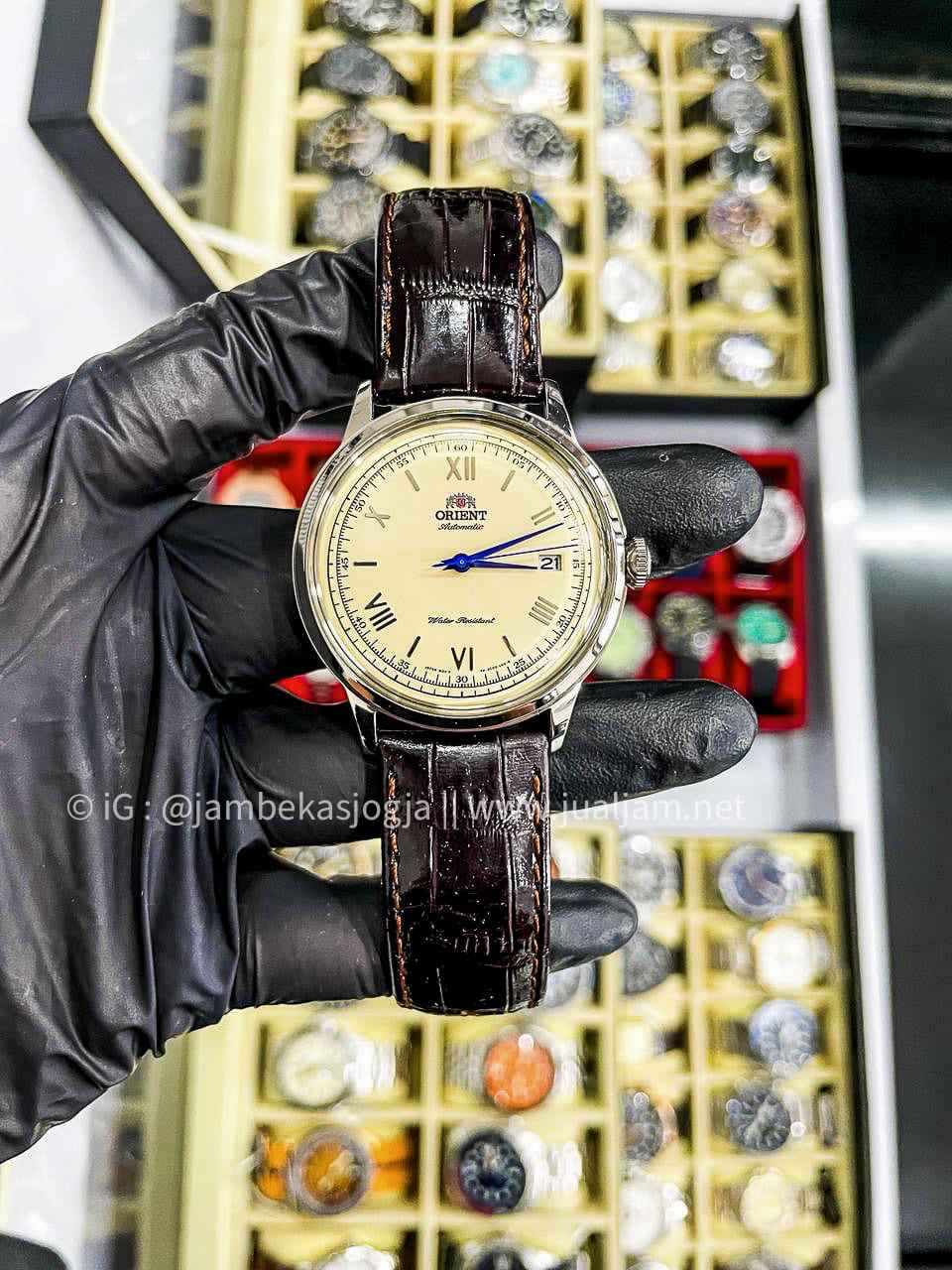 (SKU 501) Orient Bambino TAC00009N Classic Cream Dial Brown Leather Strap