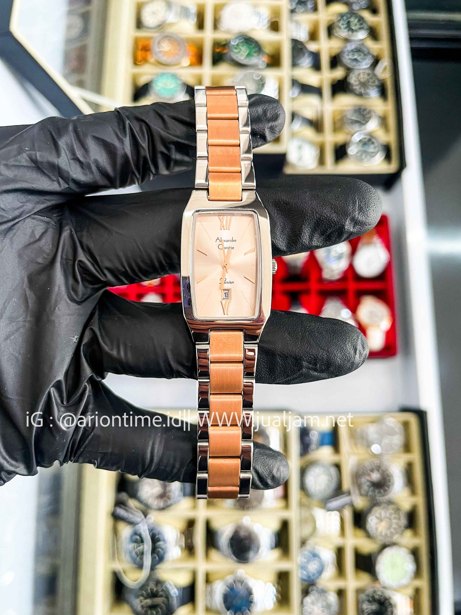 Alexandre Christie Passion AC 2455 LD BTRLN Ladies Rose Gold Dial Dual Tone Stainless Steel Strap (TITIP JUAL)